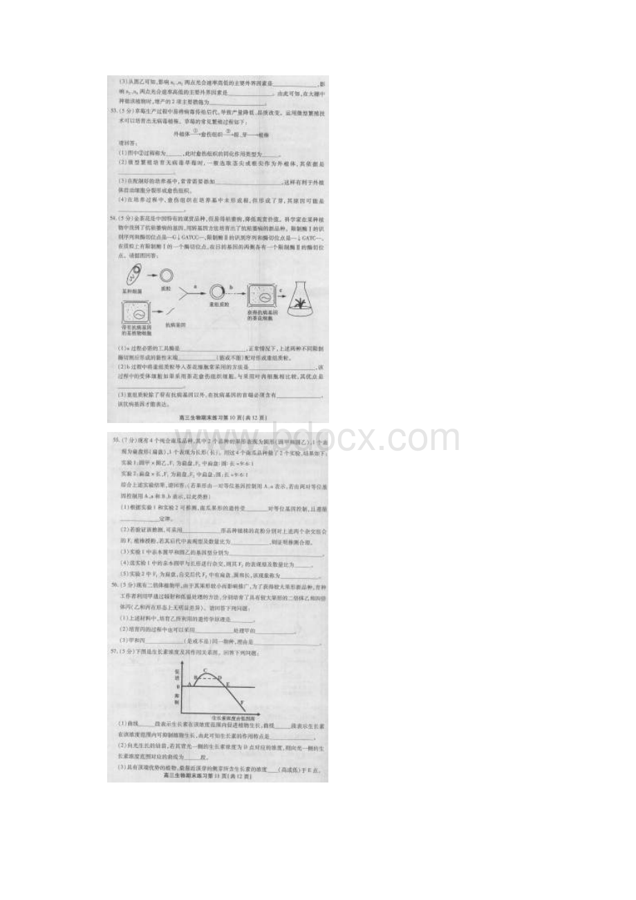 北京市丰台高三生物试题及答案.docx_第2页