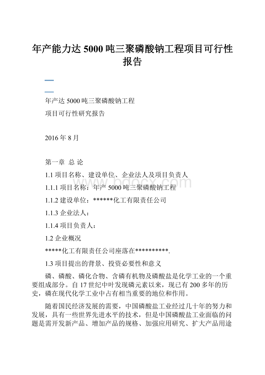 年产能力达5000吨三聚磷酸钠工程项目可行性报告.docx_第1页