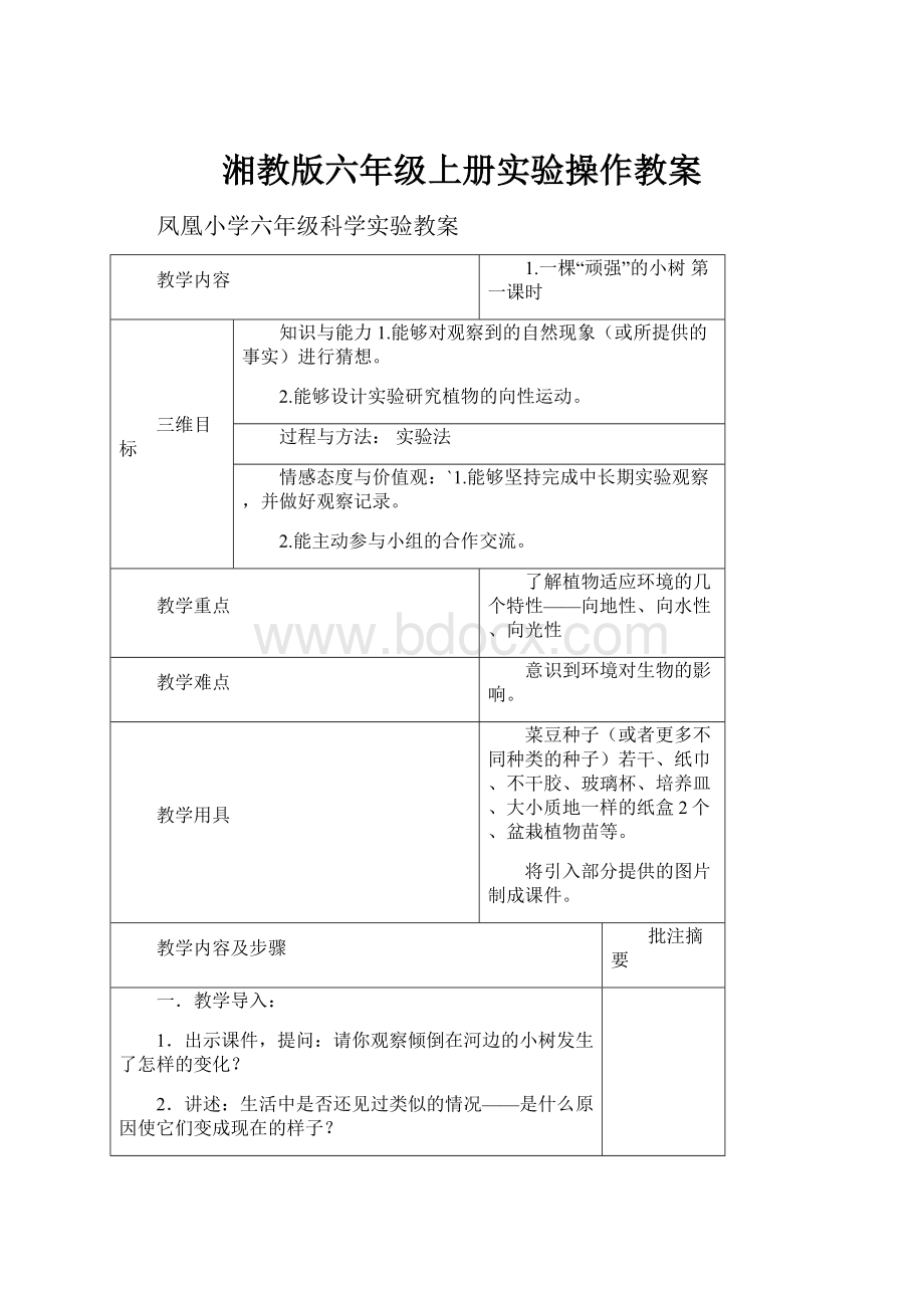 湘教版六年级上册实验操作教案.docx