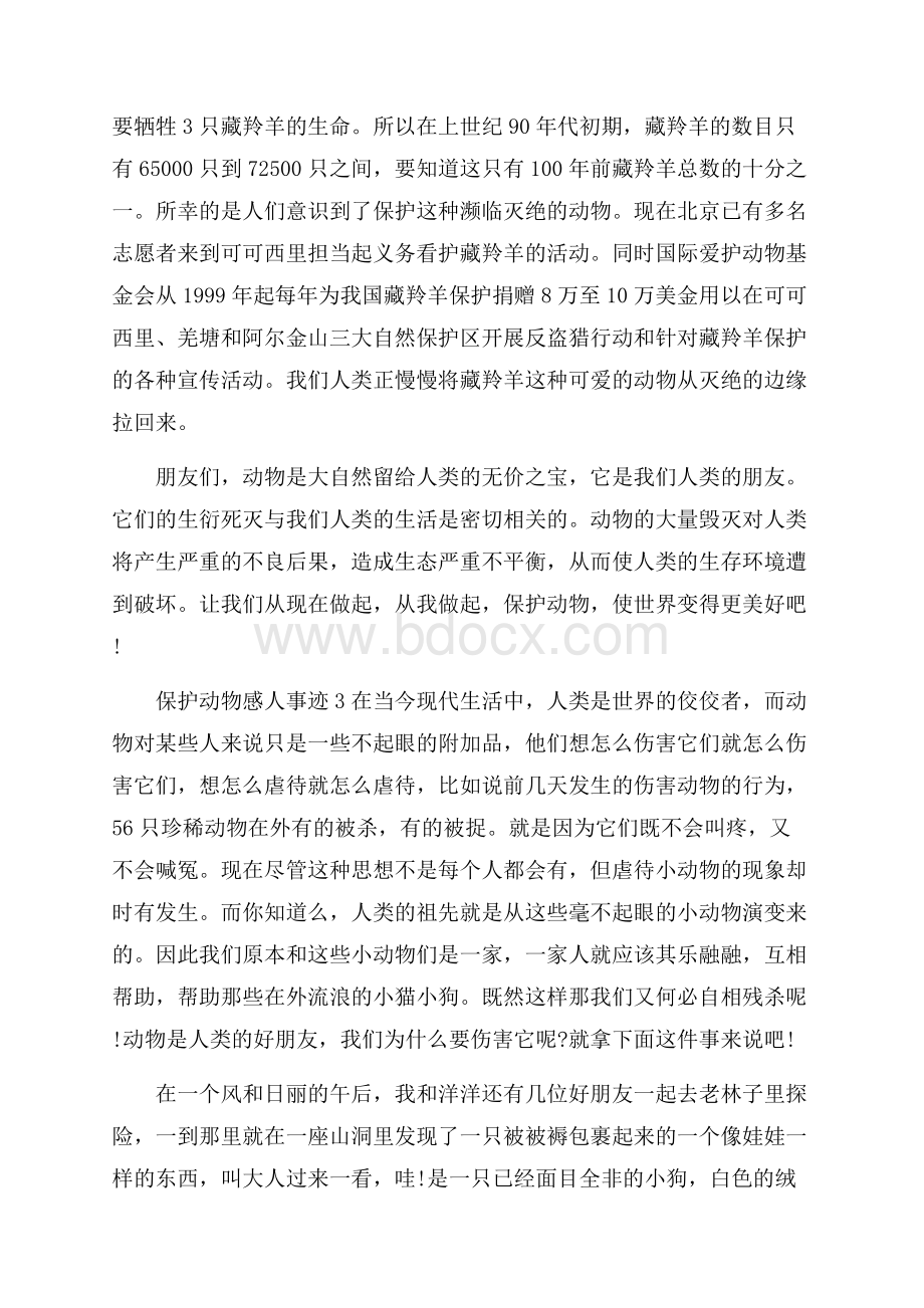 保护动物的感人事迹五篇600字.docx_第3页