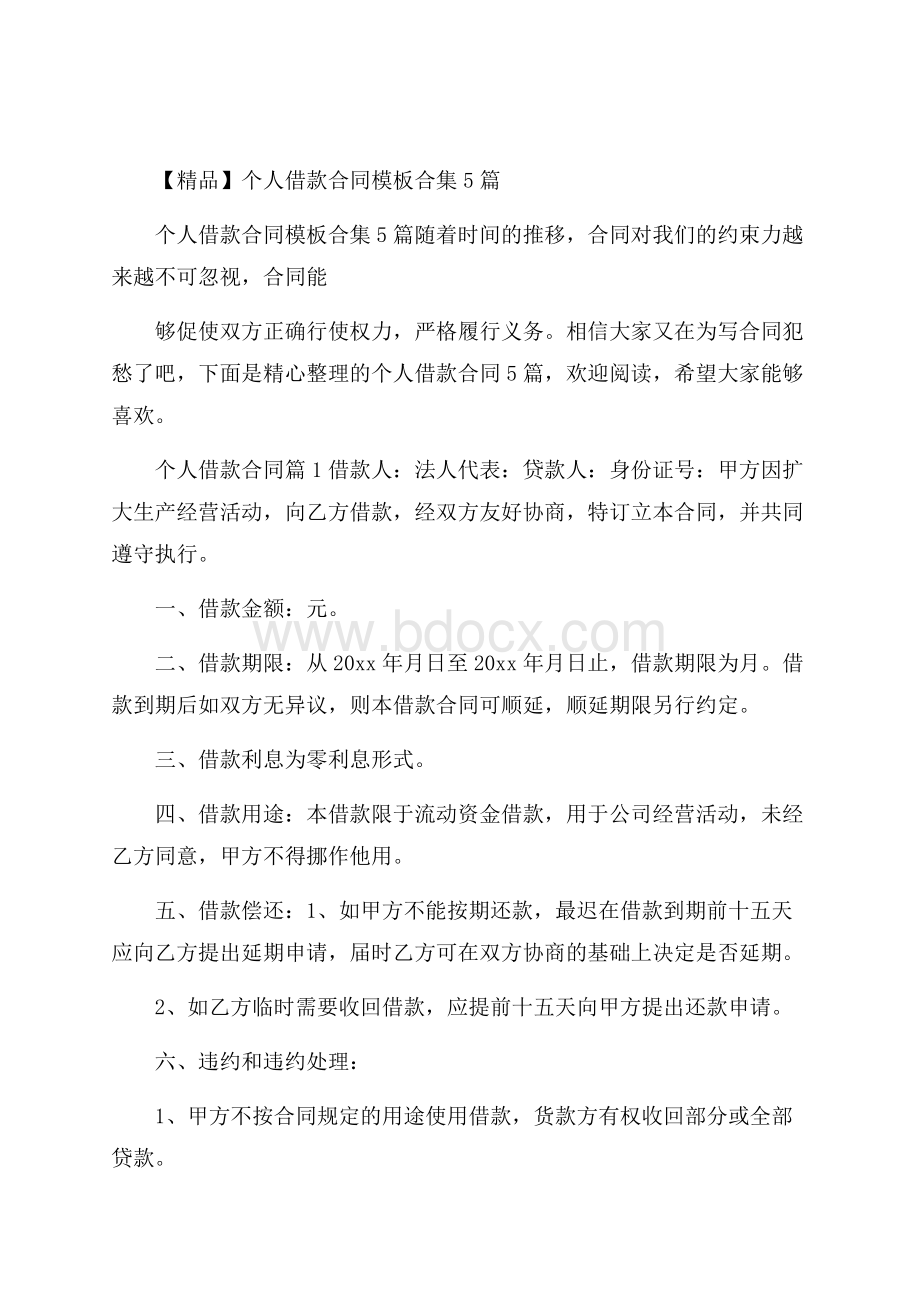 精品个人借款合同模板合集5篇.docx