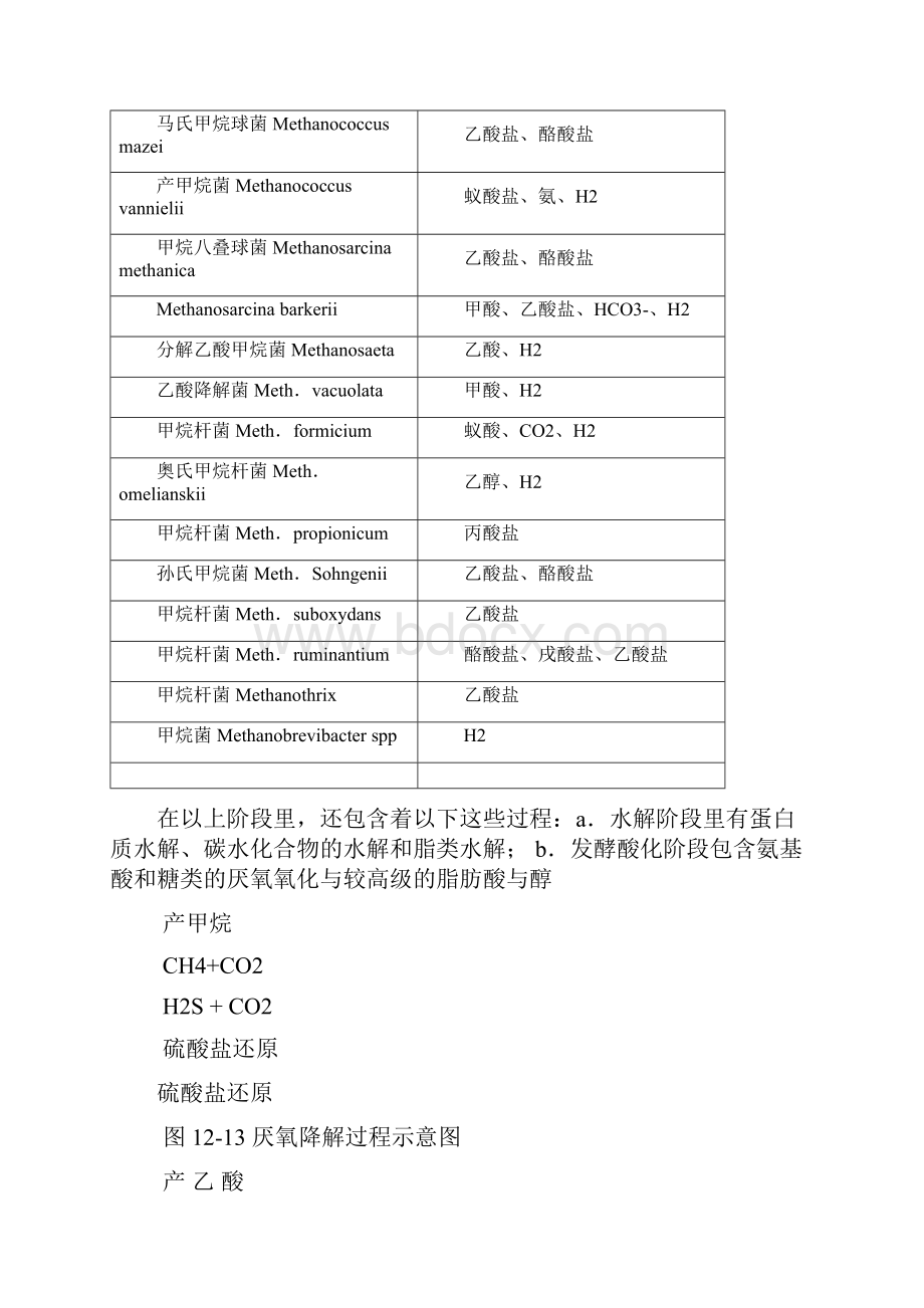 废水厌氧生物处理中的微生物学原理.docx_第3页