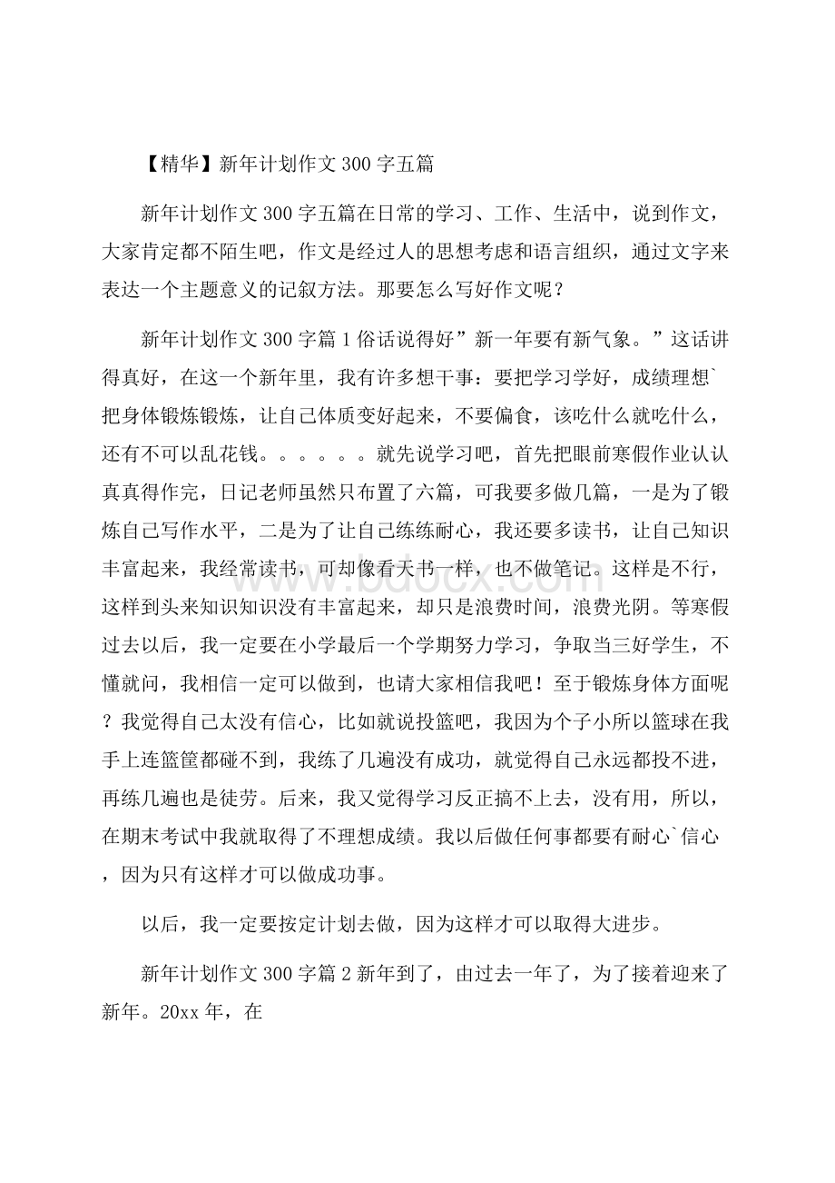 精华新年计划作文300字五篇.docx_第1页