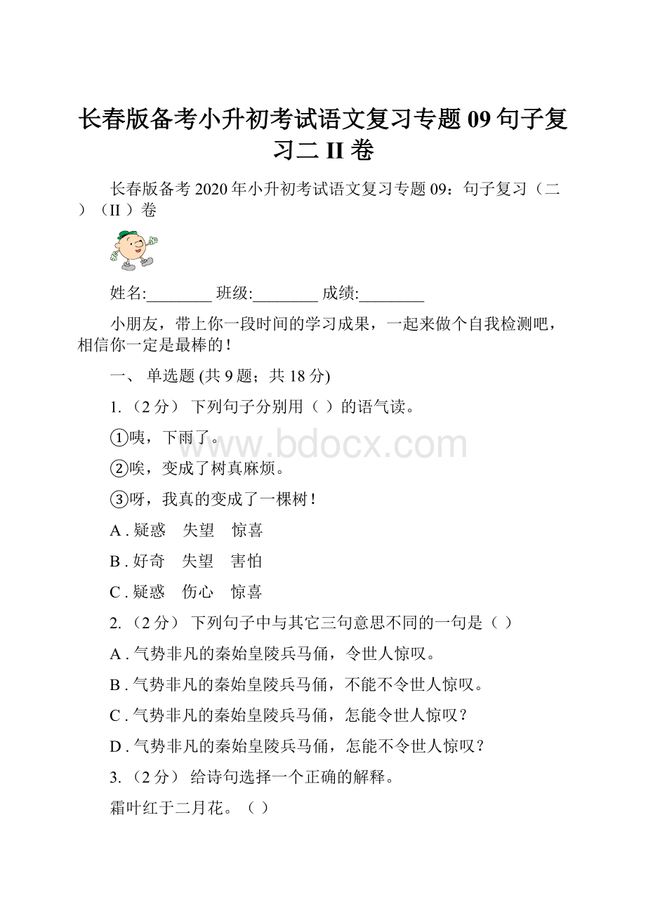 长春版备考小升初考试语文复习专题09句子复习二II 卷.docx