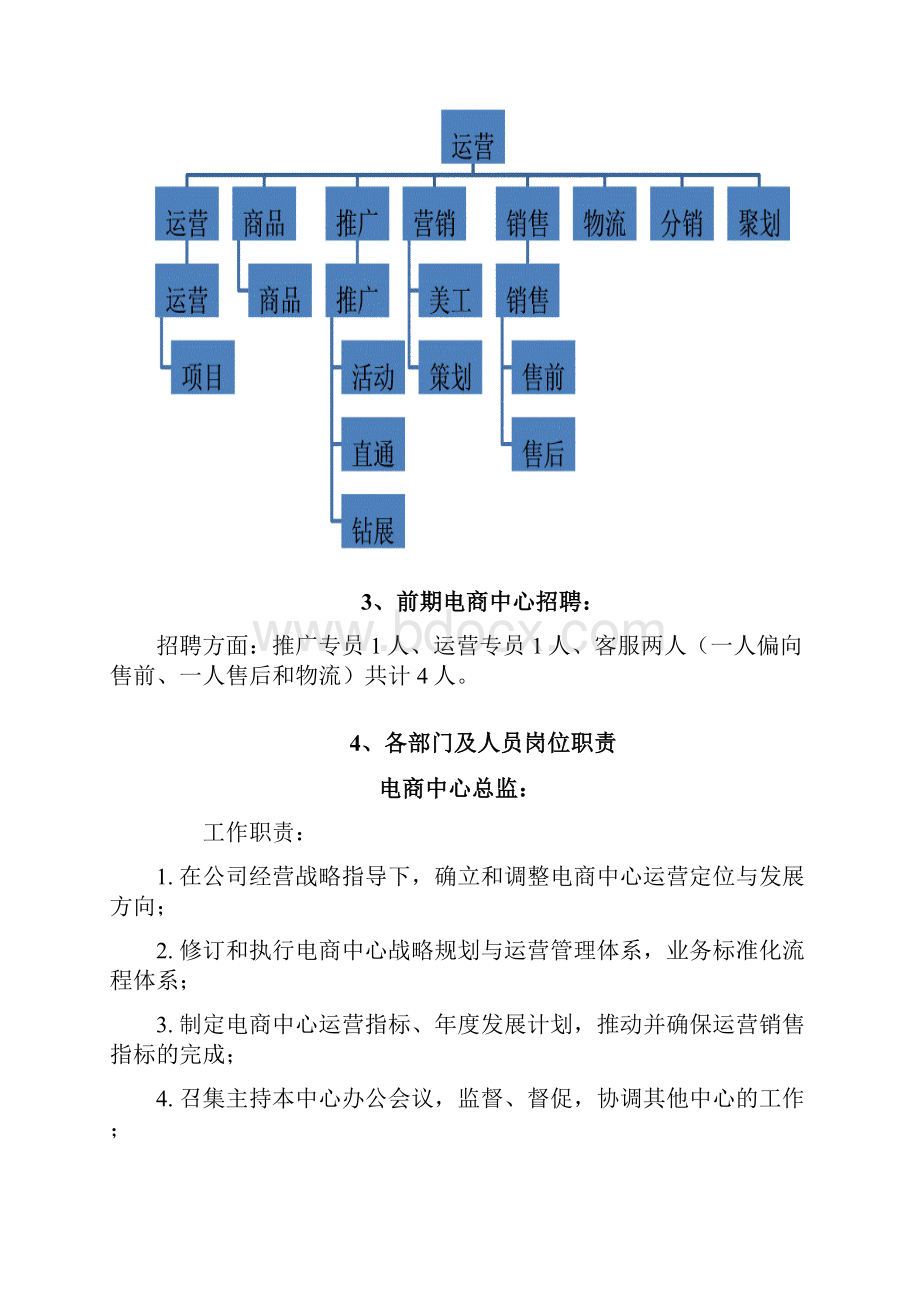 电商中心人员构成及职责.docx_第2页