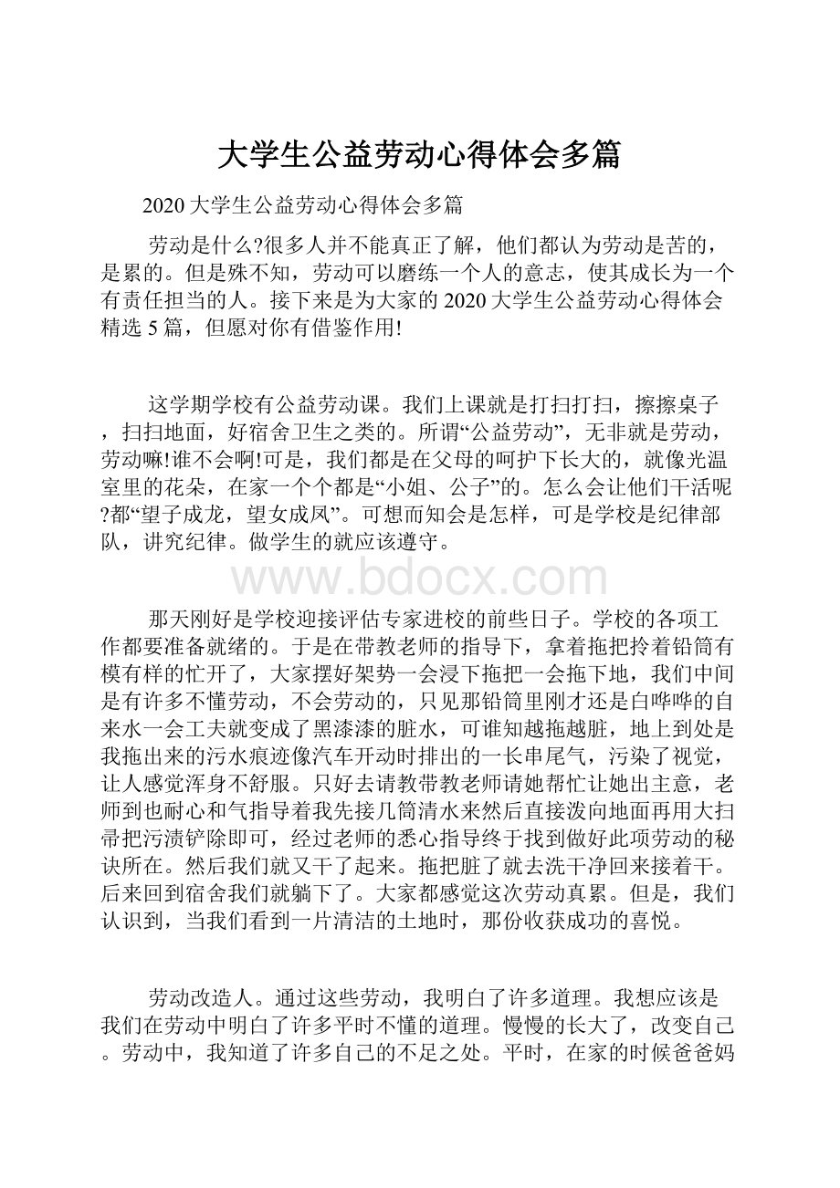 大学生公益劳动心得体会多篇.docx