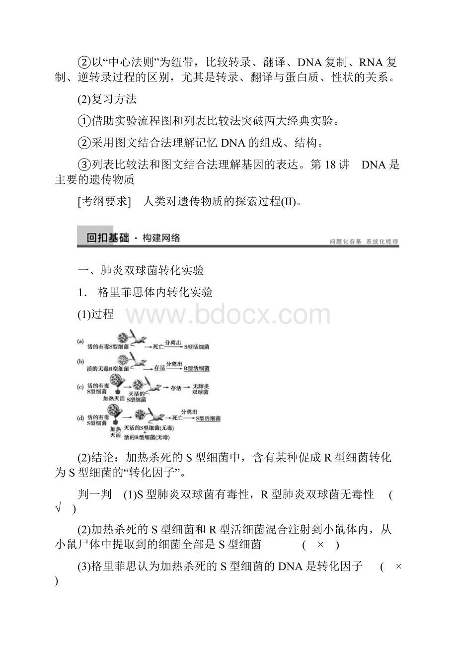 高三生物一轮复习 618DNA是主要的遗传物质教学案 新人教版.docx_第2页