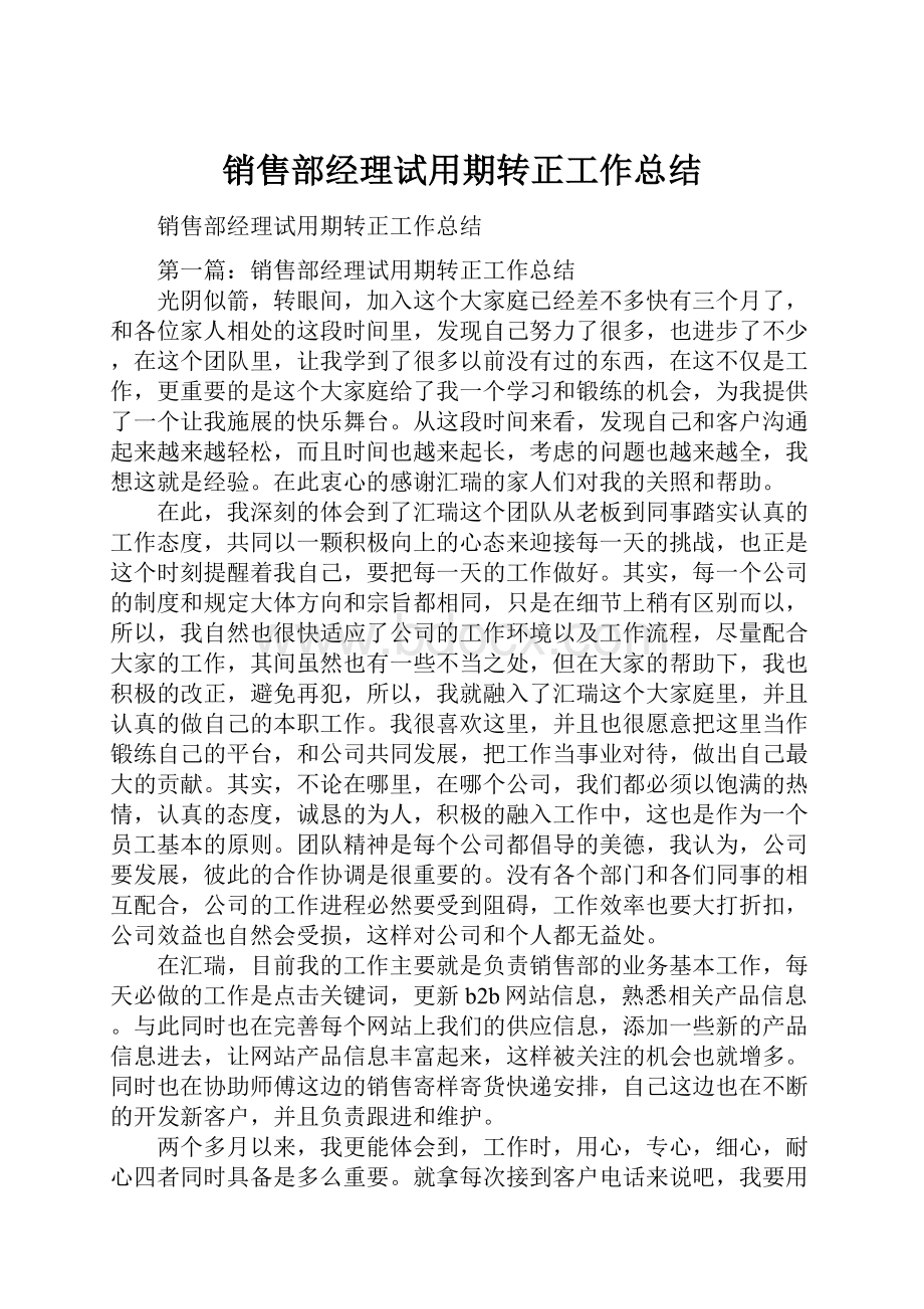 销售部经理试用期转正工作总结.docx_第1页