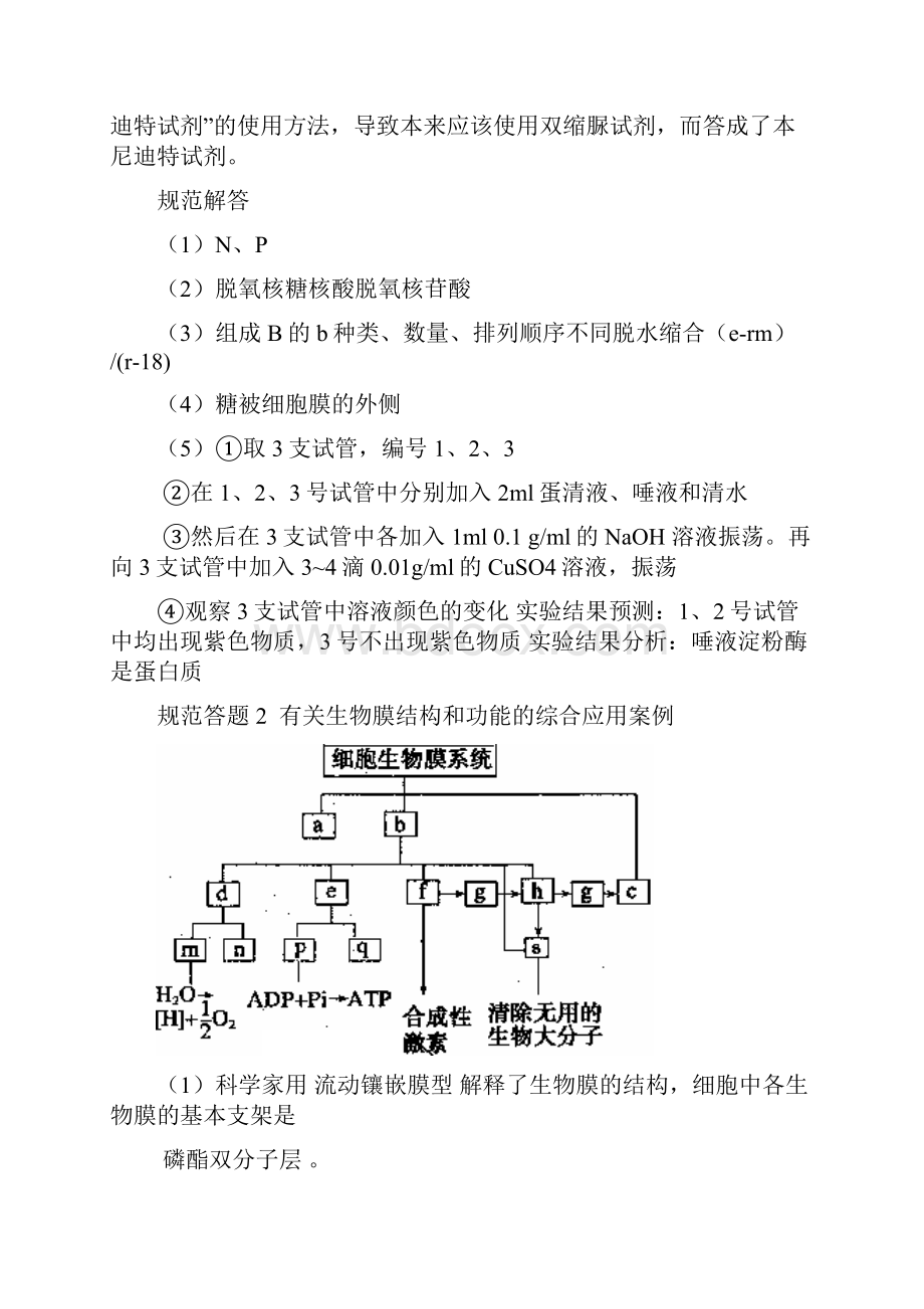 高考生物规范答题案例15.docx_第3页