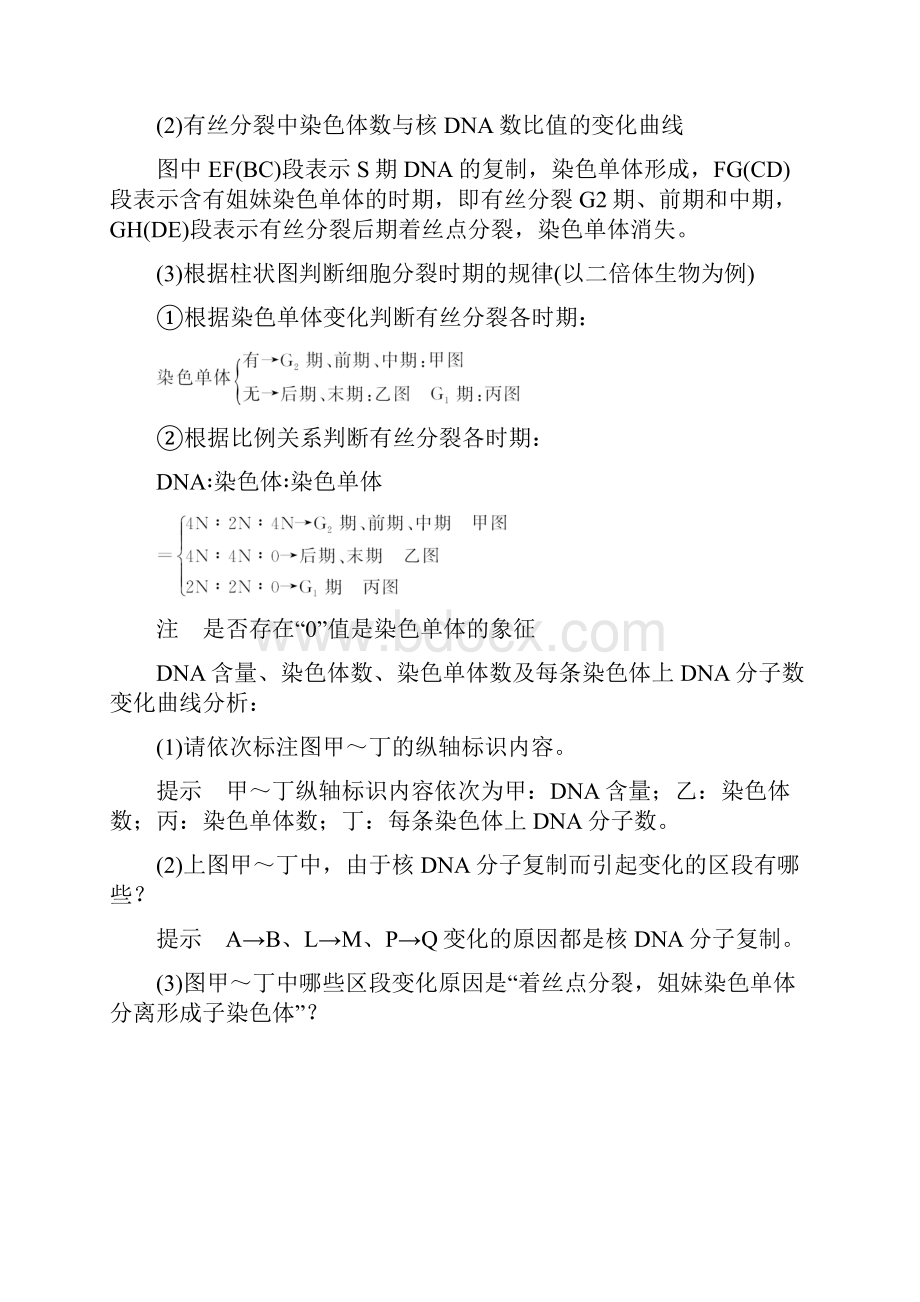 考点二 有丝分裂的过程特点及意义.docx_第2页