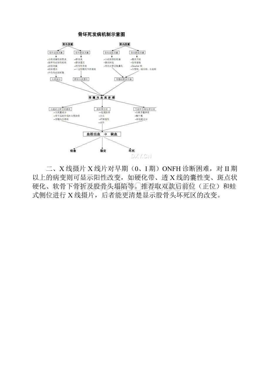 股骨头坏死.docx_第3页