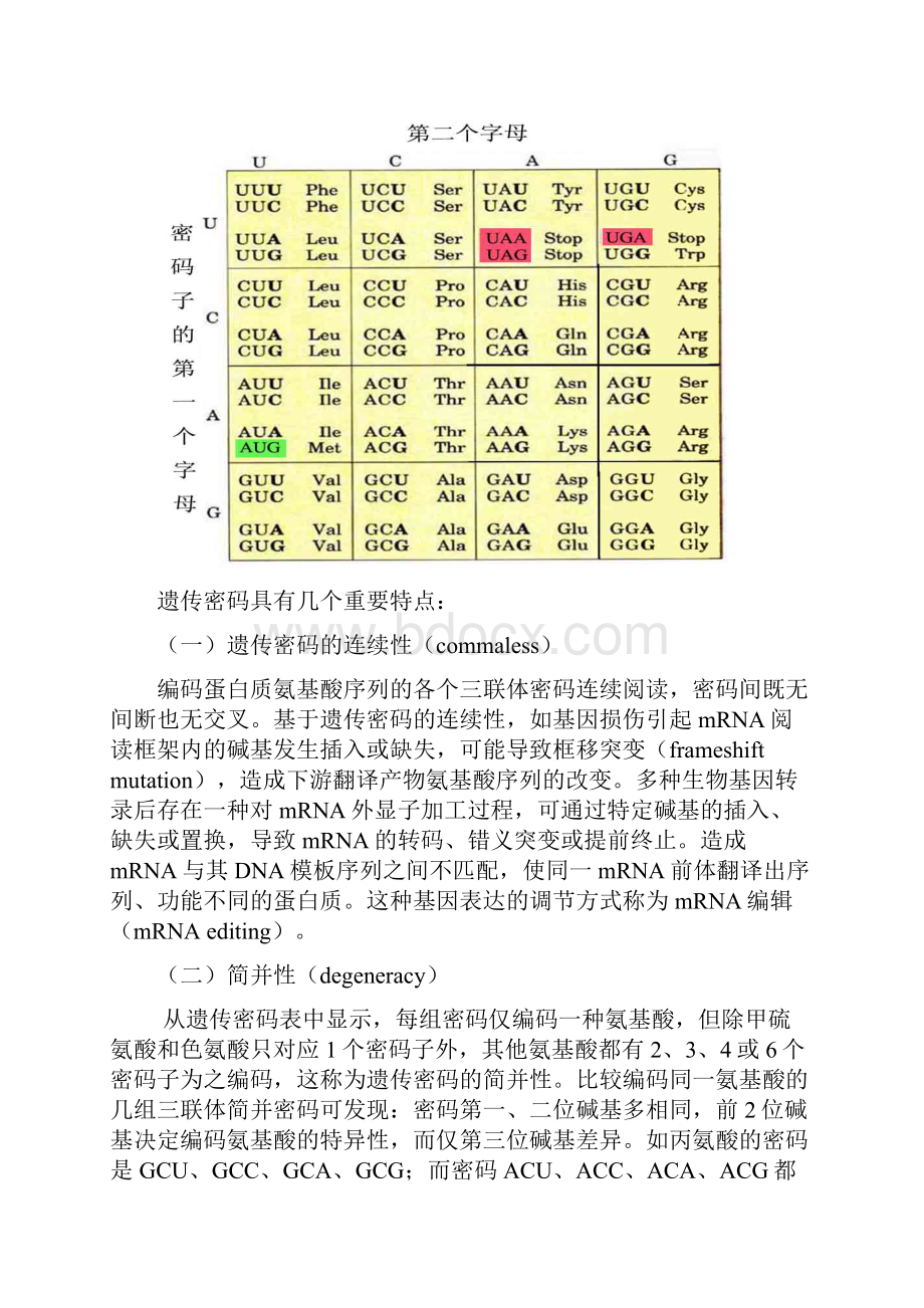 第十二章 蛋白质的生物合成翻译.docx_第3页