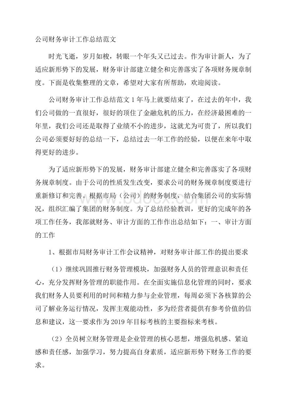 公司财务审计工作总结范文.docx