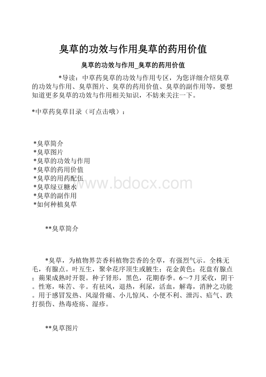 臭草的功效与作用臭草的药用价值.docx