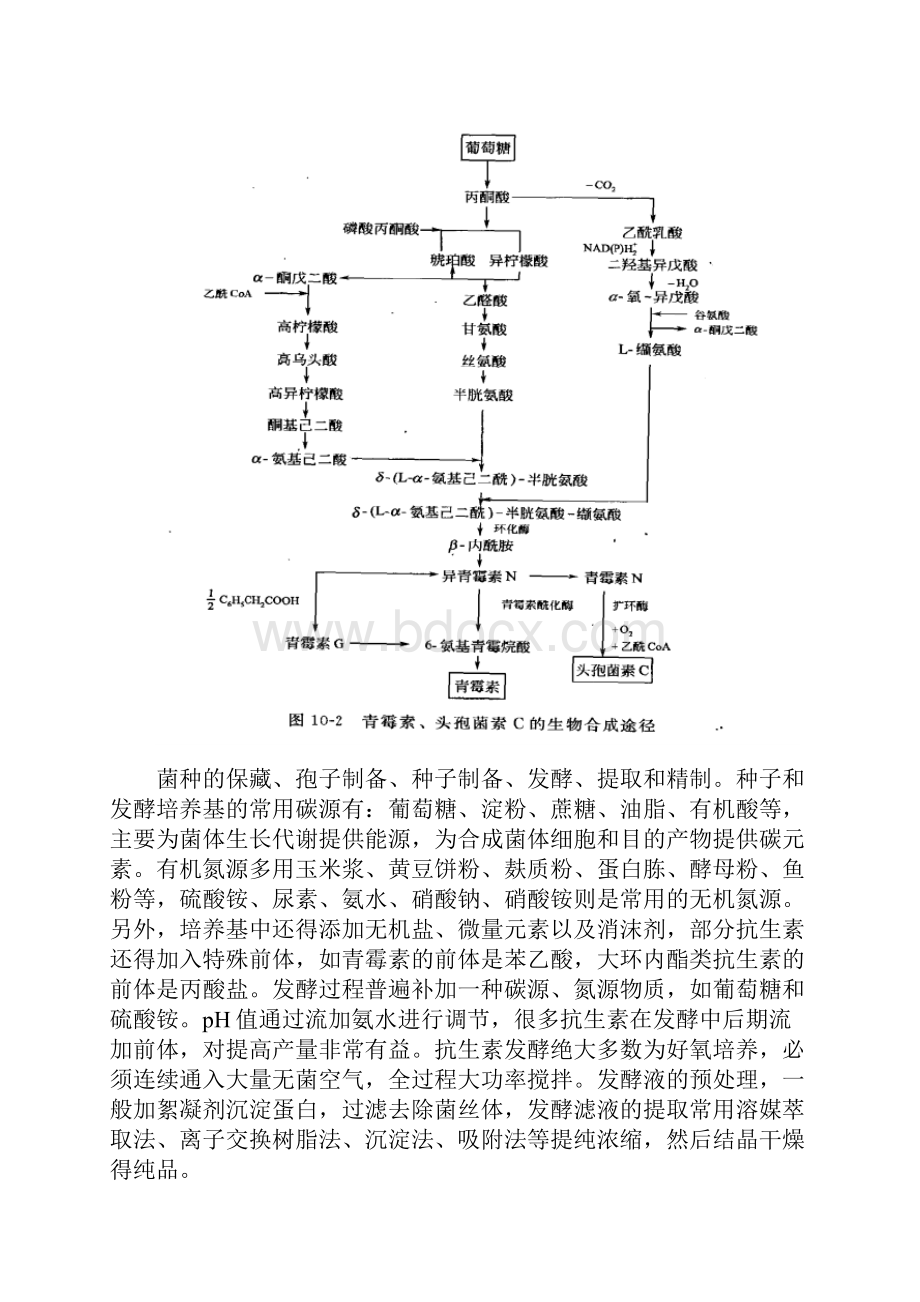 生物分离工程课程设计.docx_第3页