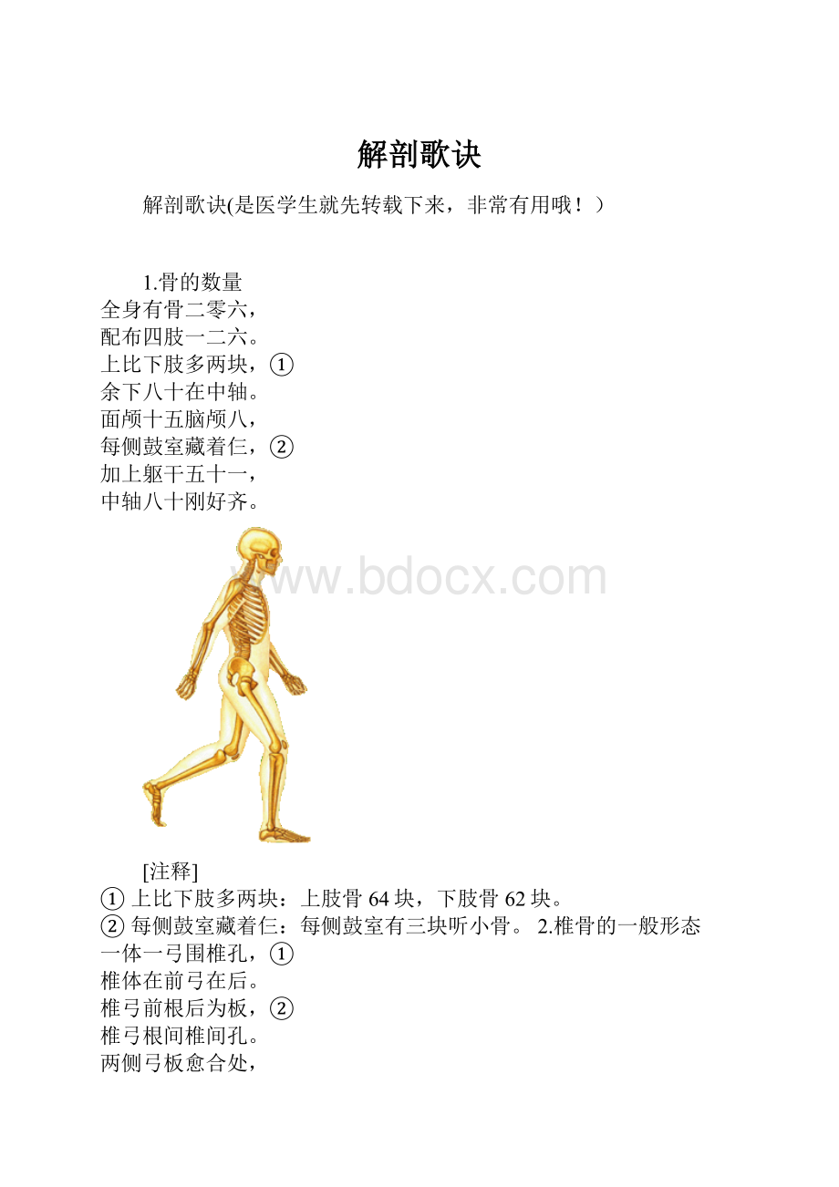 解剖歌诀.docx_第1页