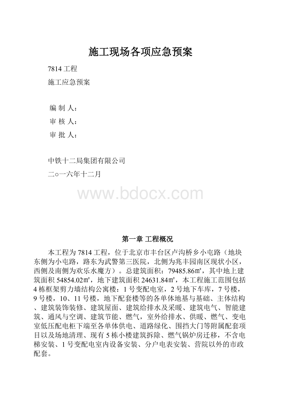 施工现场各项应急预案.docx_第1页