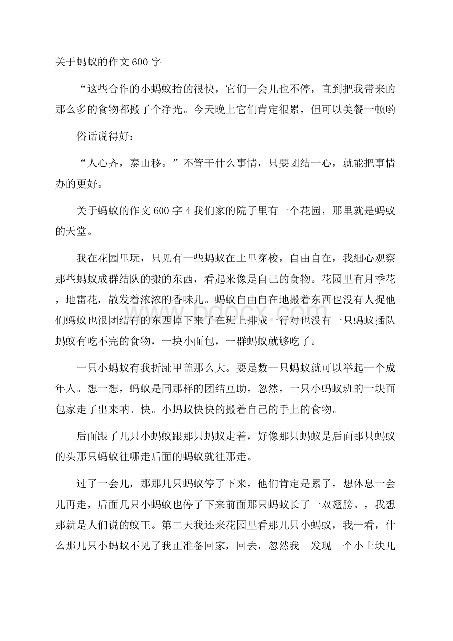 关于蚂蚁的作文600字.docx