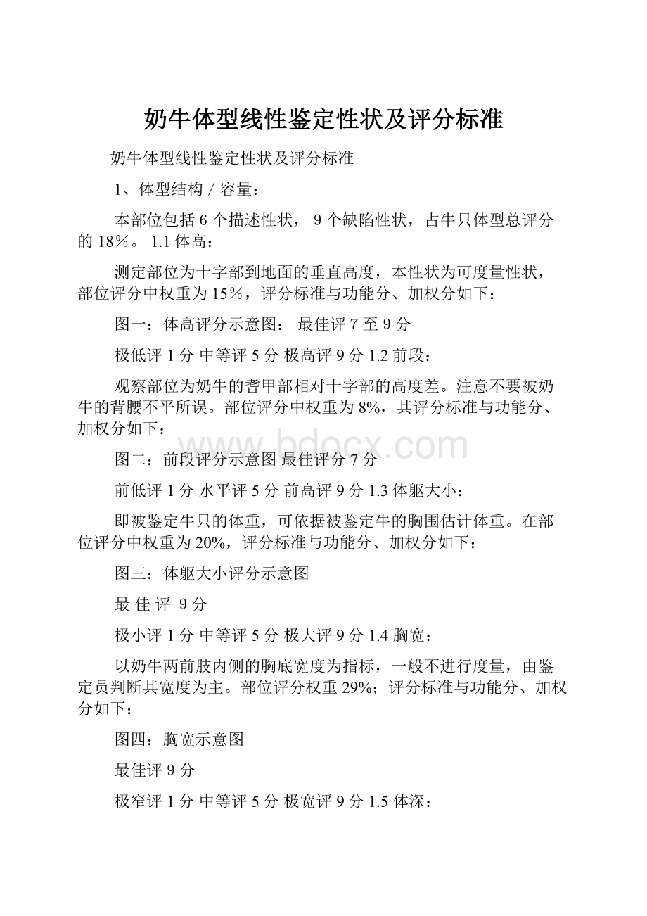 奶牛体型线性鉴定性状及评分标准.docx_第1页