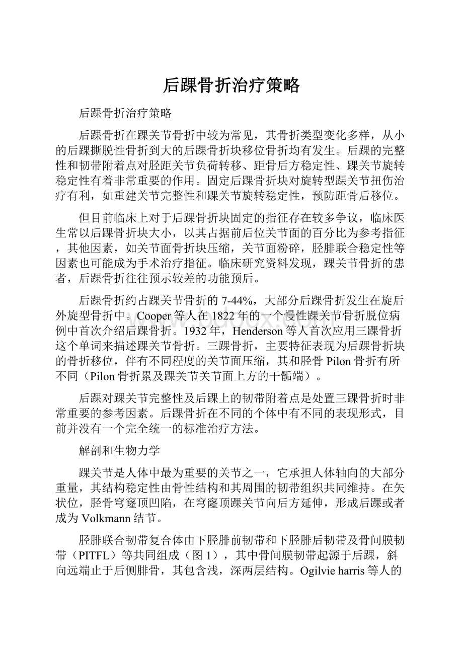 后踝骨折治疗策略.docx_第1页