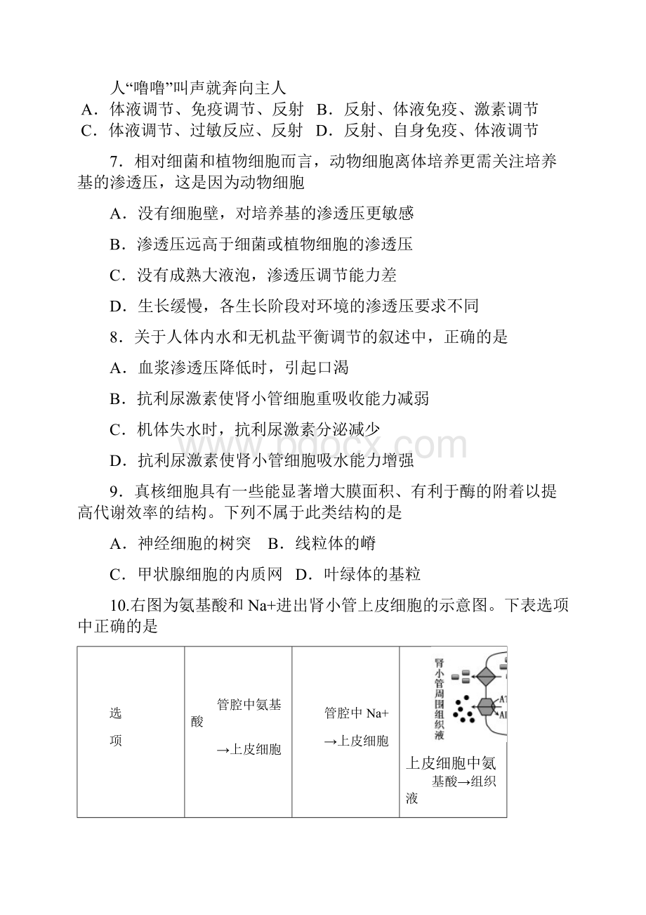 届上海市松江区高三上学期期末质量监控一模.docx_第3页