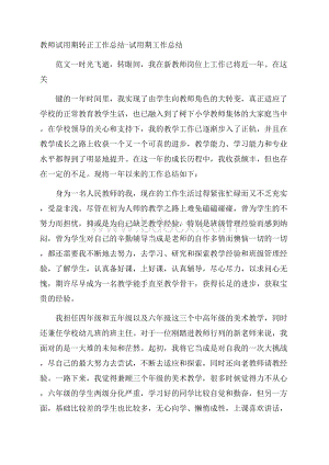 教师试用期转正工作总结试用期工作总结.docx