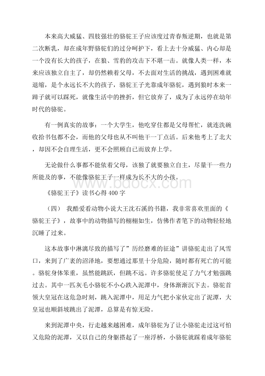 关于《骆驼王子》读书心得400字五篇.docx_第3页