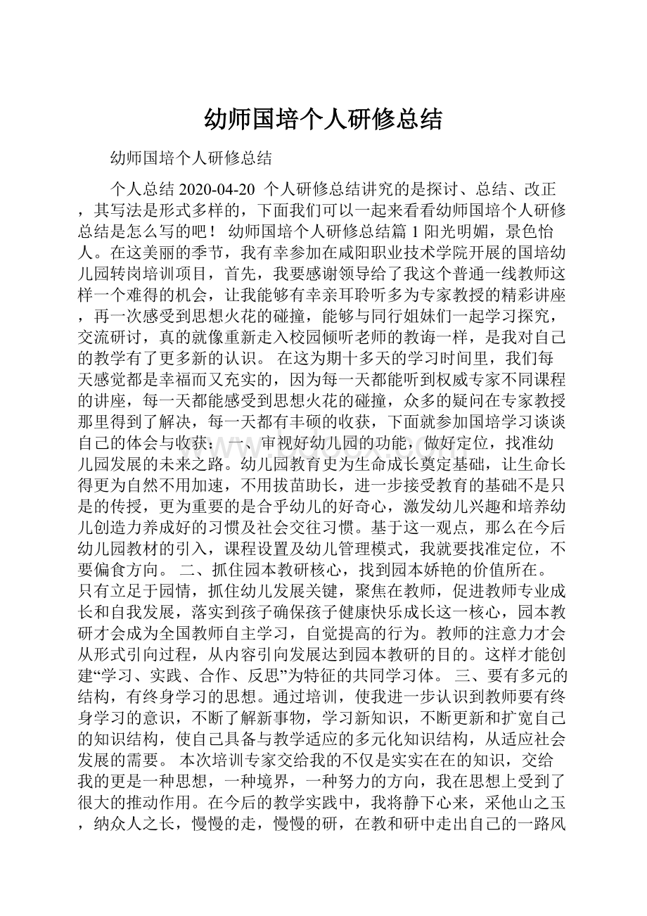 幼师国培个人研修总结.docx