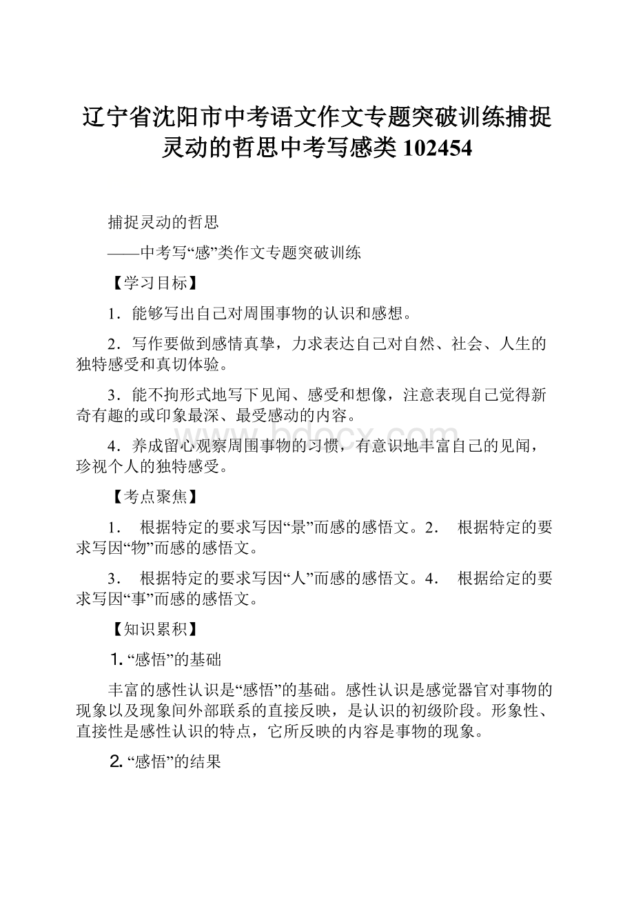 辽宁省沈阳市中考语文作文专题突破训练捕捉灵动的哲思中考写感类102454.docx