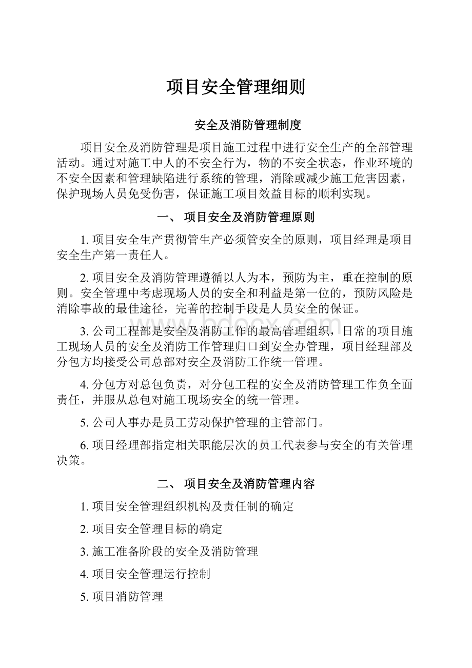 项目安全管理细则.docx_第1页