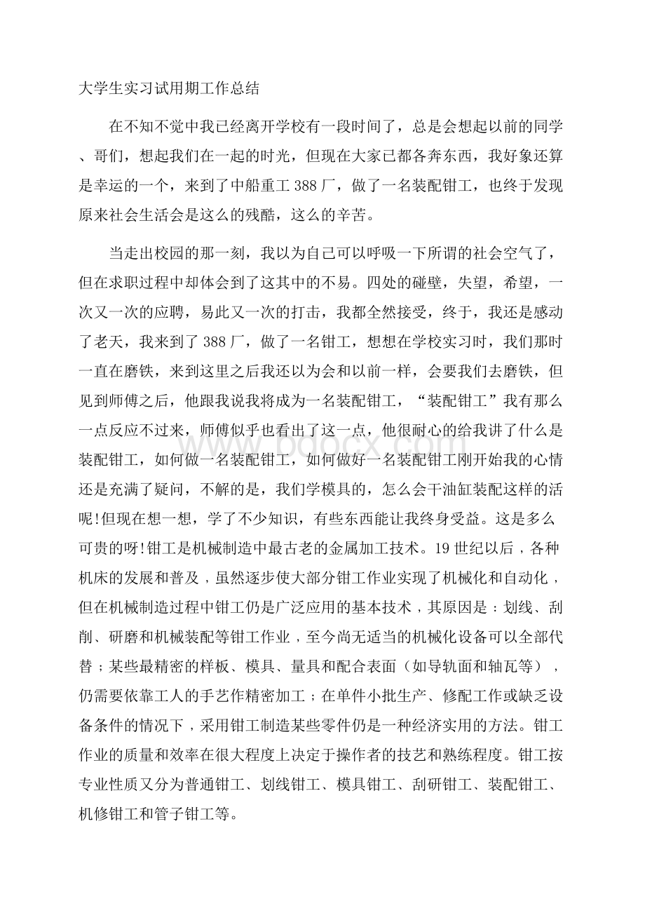 大学生实习试用期工作总结.docx