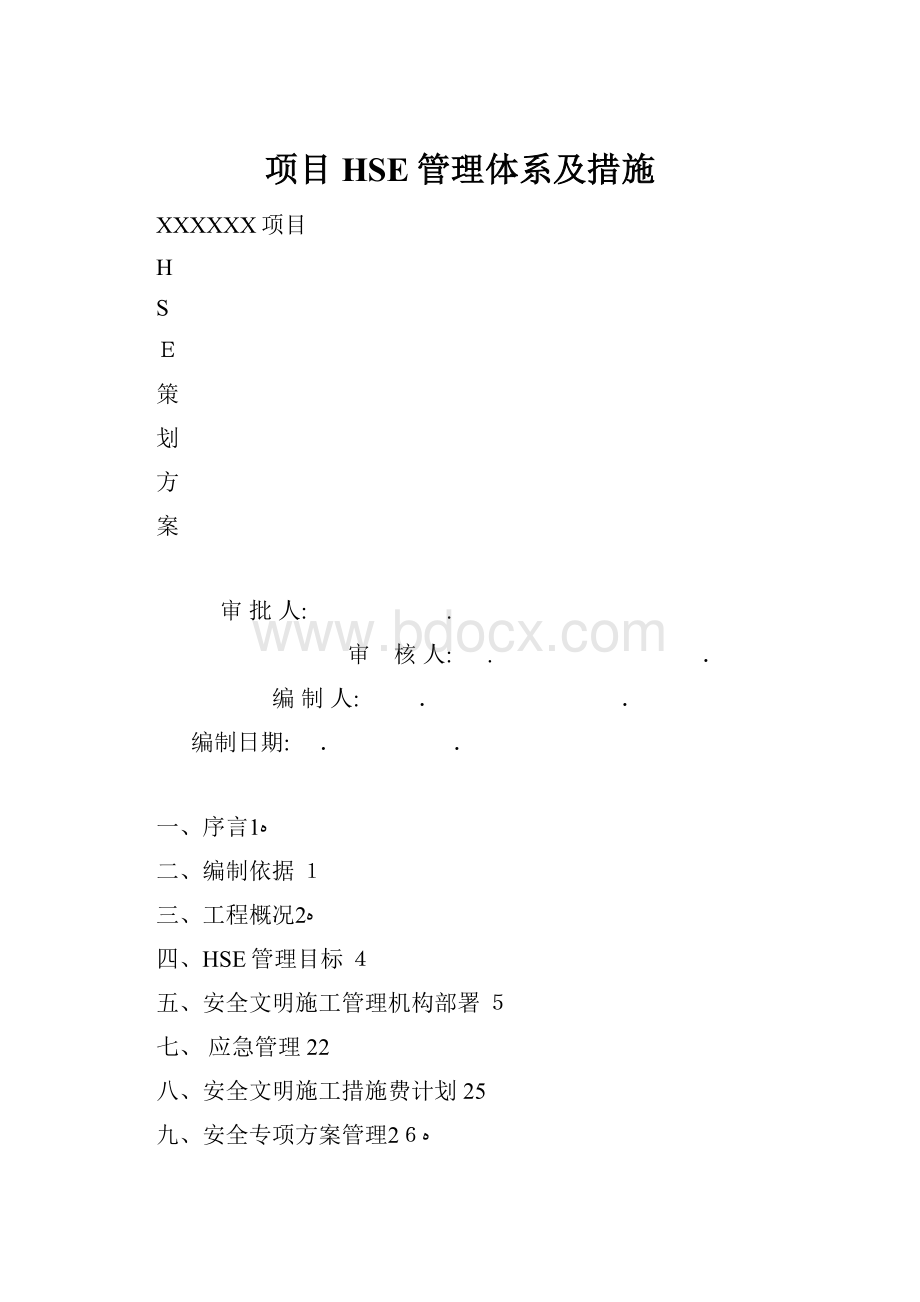 项目HSE管理体系及措施.docx