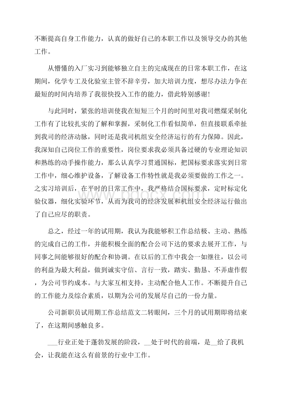 公司新职员试用期工作总结.docx_第3页