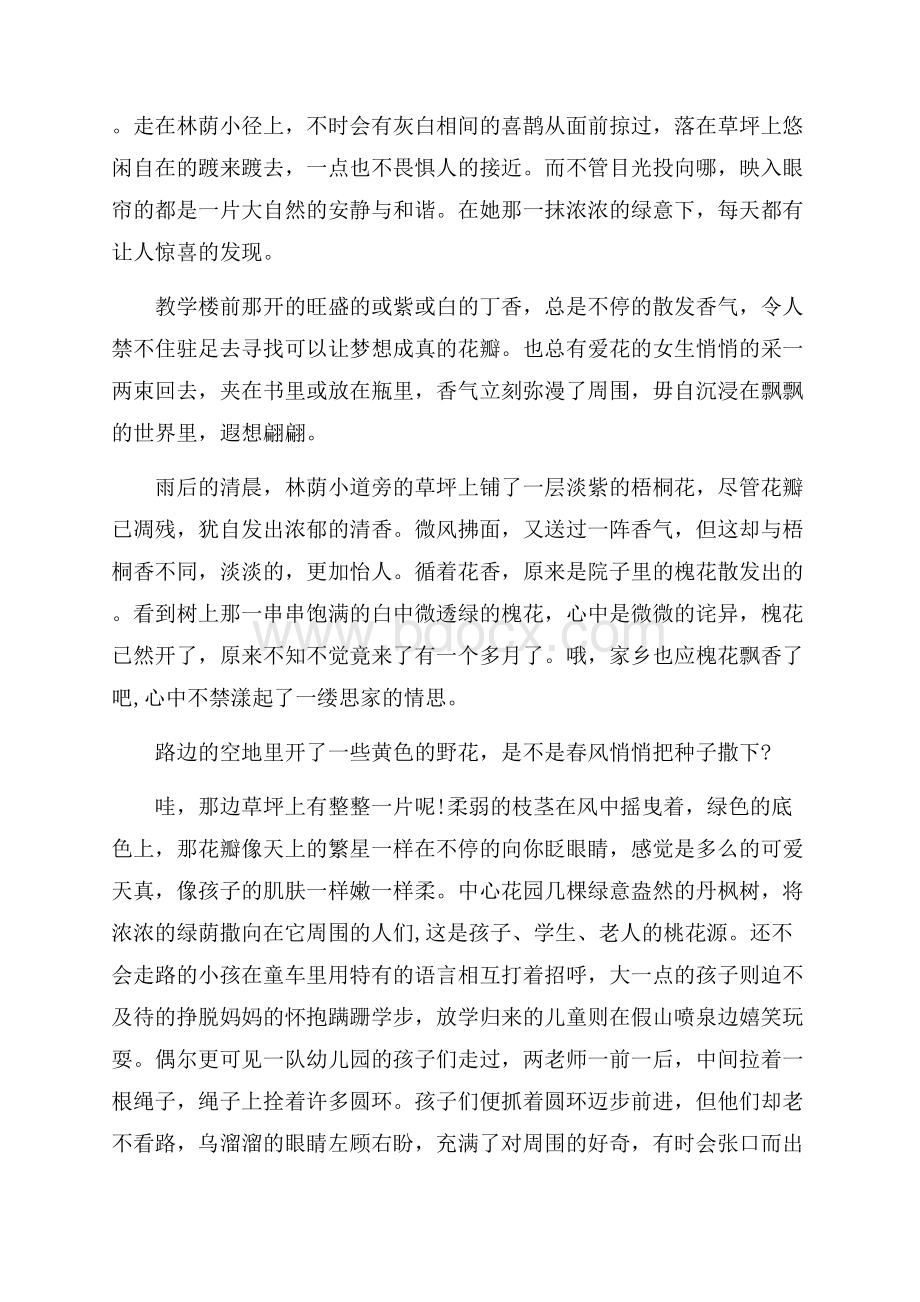 精选校园演讲稿范文集锦十篇.docx_第2页