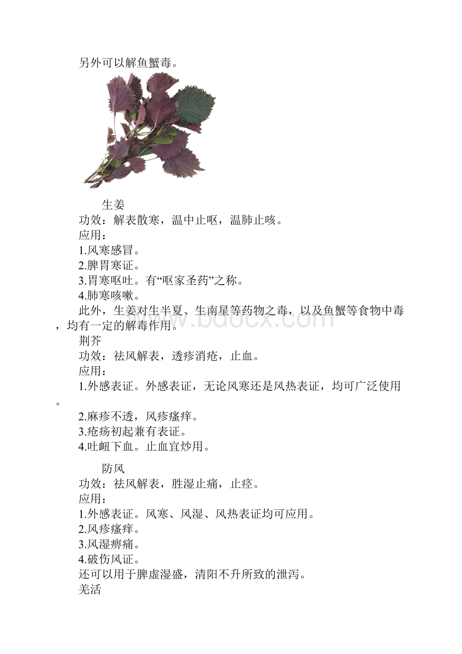 精中药学第六单元 解表药.docx_第3页