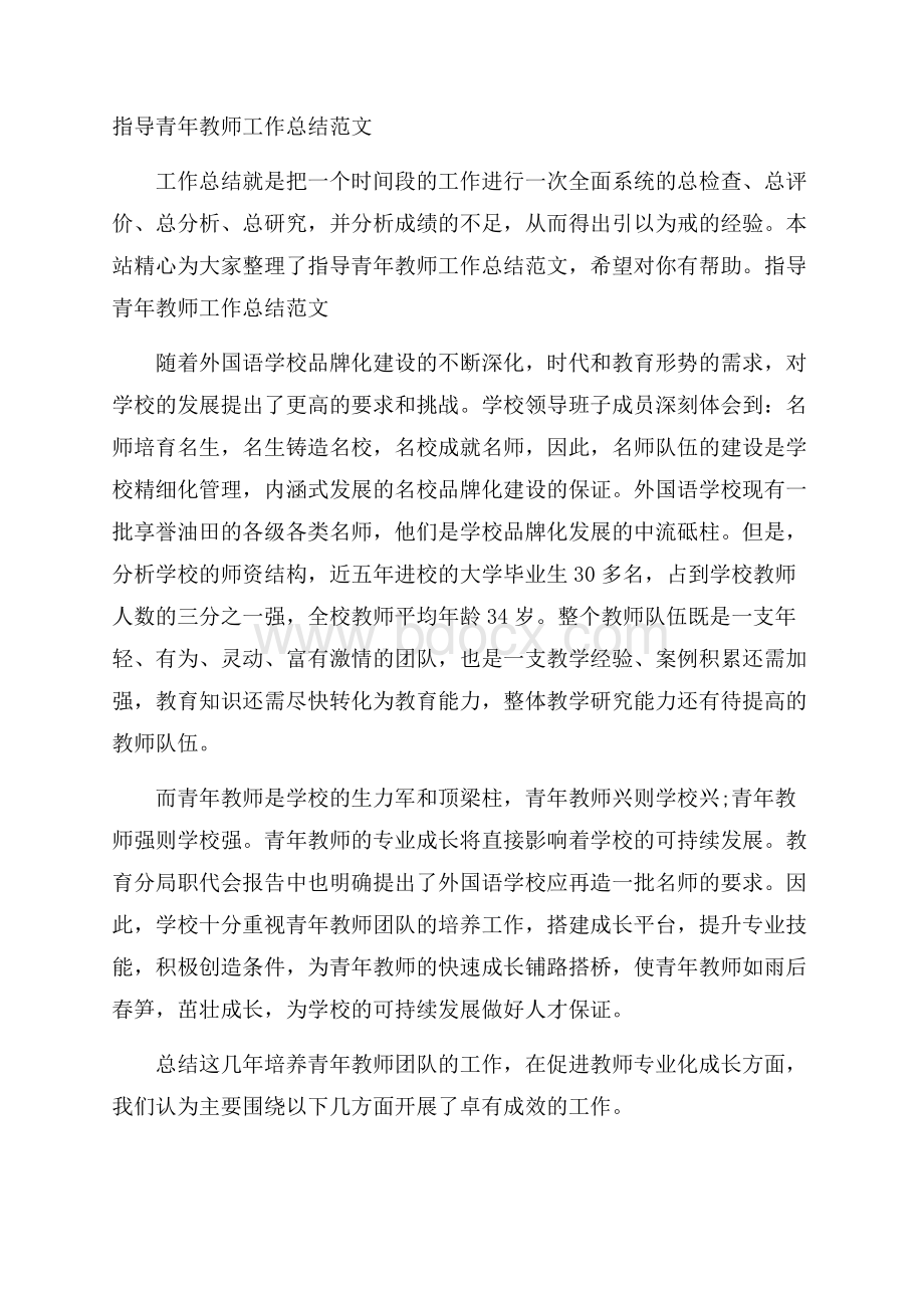 指导青年教师工作总结范文.docx