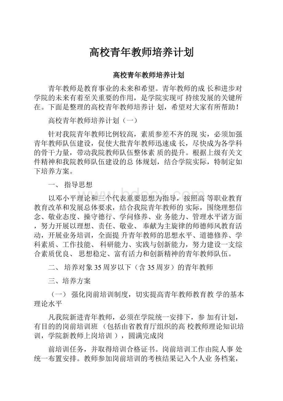 高校青年教师培养计划.docx