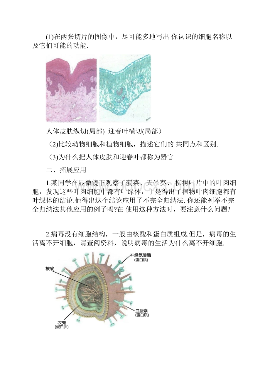 高中生物必修一新教材课后习题与参考答案.docx_第2页