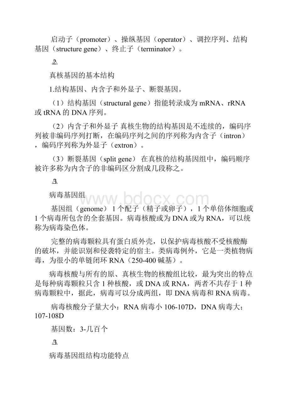 四季金果 医学分子生物学要点.docx_第2页