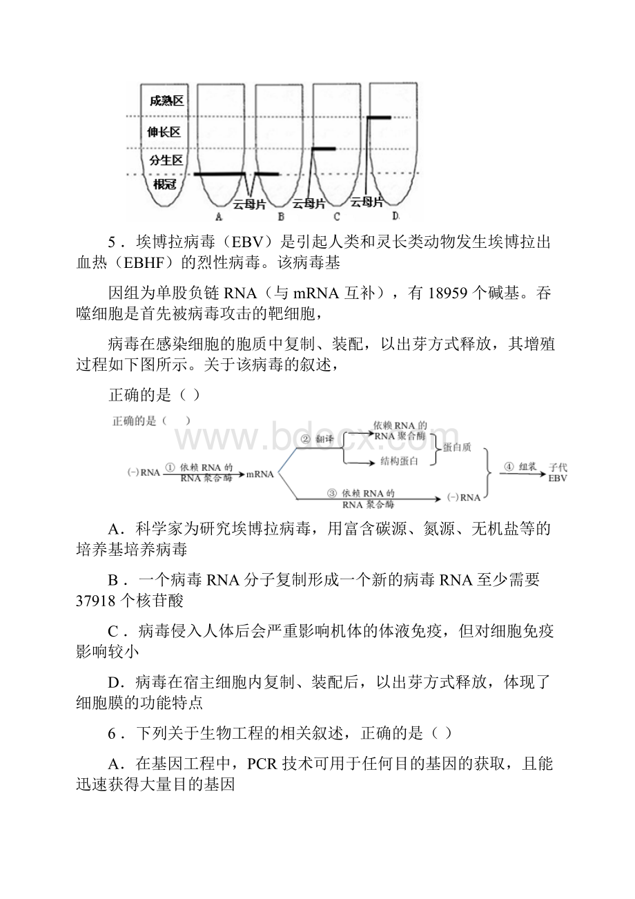 届安徽省六校教育研究会高三第二次联考理科综合试题及答案.docx_第3页