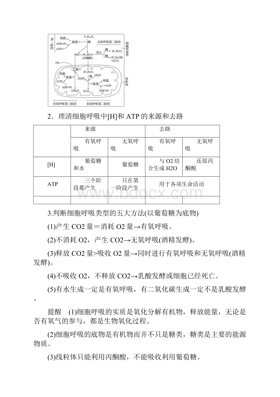 高考生物复习 专题四细胞呼吸与光合作用.docx_第2页