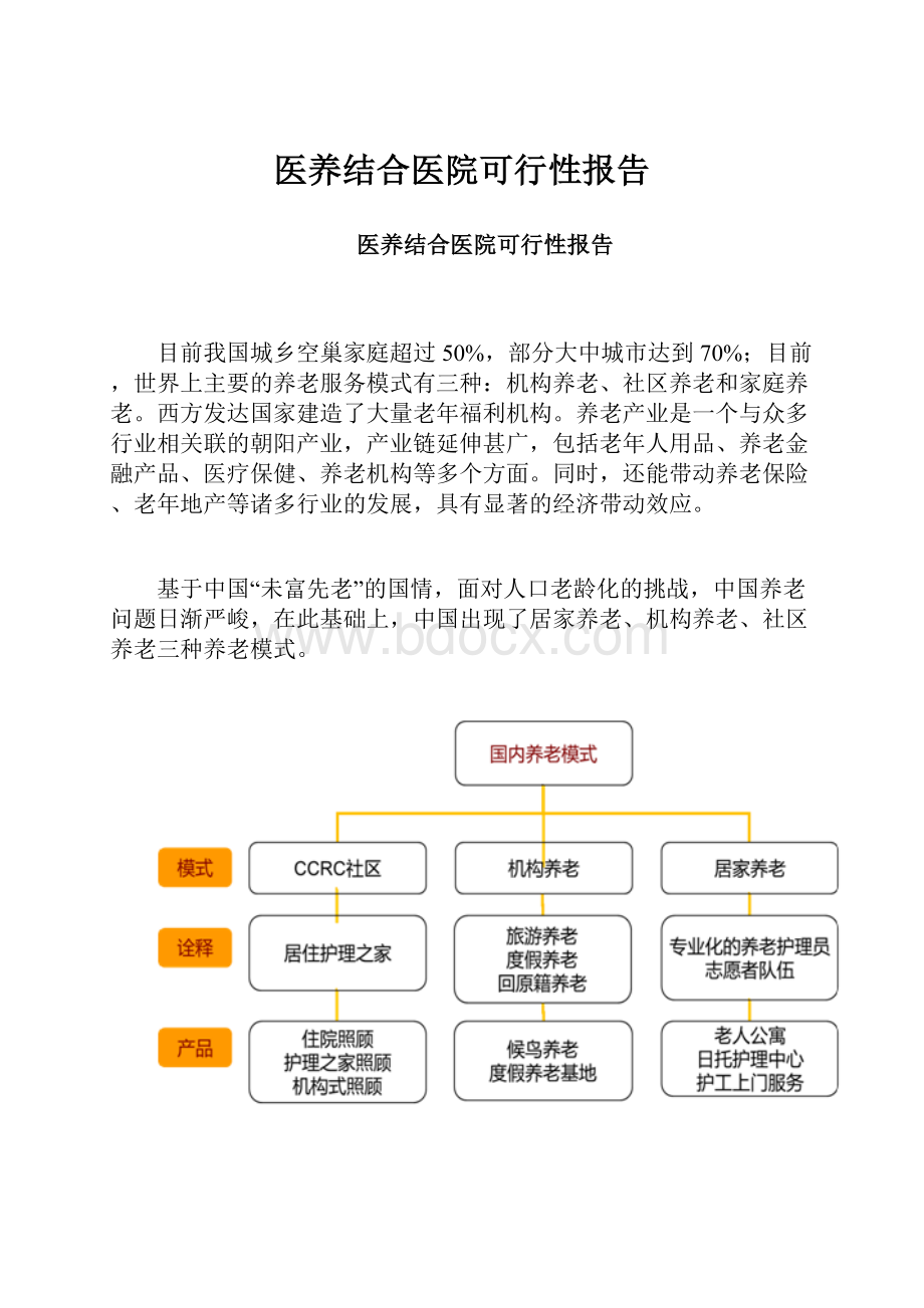 医养结合医院可行性报告.docx_第1页