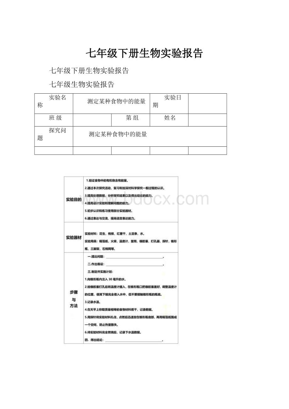 七年级下册生物实验报告.docx_第1页