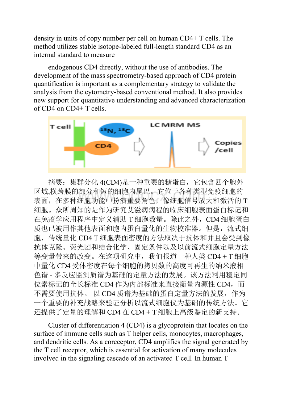 化学专业英语文献翻译.docx_第2页