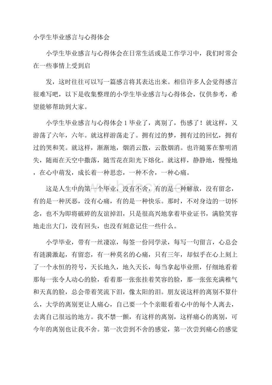 小学生毕业感言与心得体会.docx