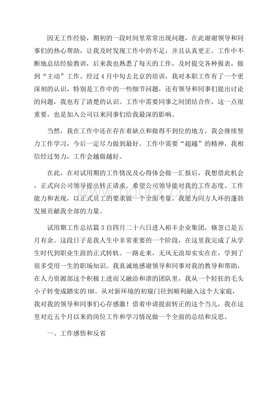 关于试用期工作总结集合七篇.docx_第3页