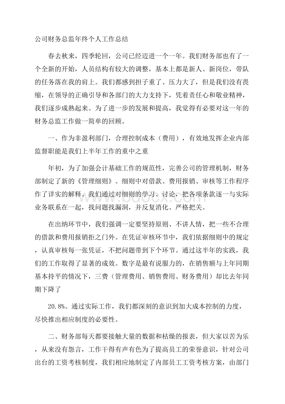 公司财务总监年终个人工作总结.docx