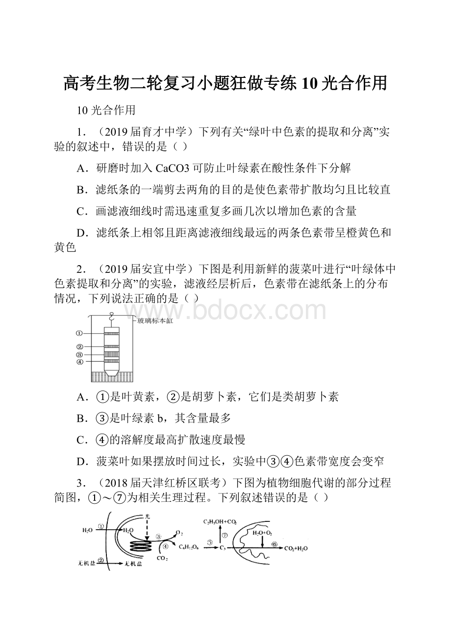 高考生物二轮复习小题狂做专练10光合作用.docx_第1页