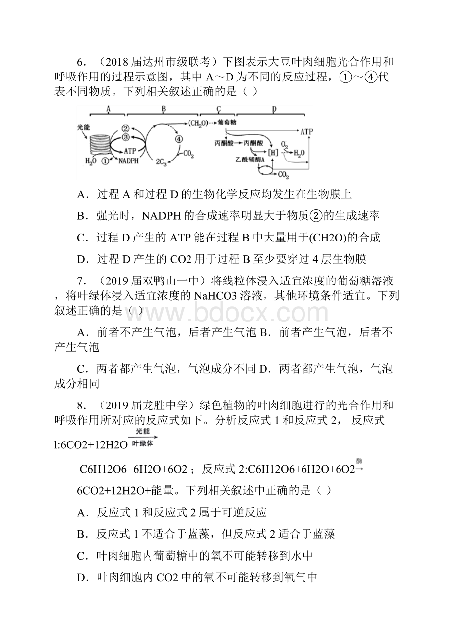 高考生物二轮复习小题狂做专练10光合作用.docx_第3页