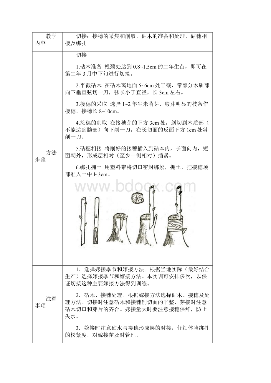 中职园林实训教案修剪资料.docx_第3页